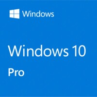 Win Pro FPP 11 64-bit All Lng PK Lic Online DwnLd NR