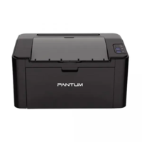 Принтер Pantum P2507