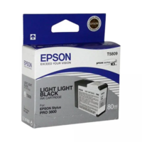 Картридж Epson C13T580900 Light Light Black 80ml