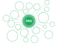 DNS himoyasi