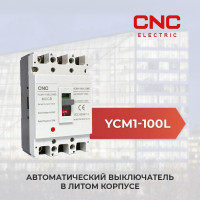 Автоматический выключатель YCM1 100L