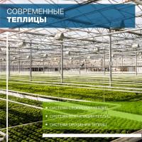 OSC ROYAL GREENHOUSES - СОВРЕМЕННЫЕ ЕВРОПЕЙСКИЕ ТЕПЛИЦЫ "ПОД КЛЮЧ".