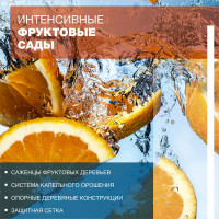 Интенсивные фруктовые сады